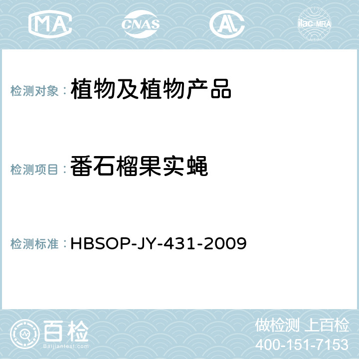 番石榴果实蝇 寡毛实蝇属检疫鉴定方法 HBSOP-JY-431-2009