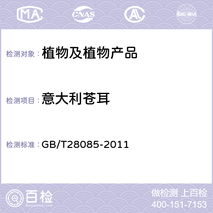 意大利苍耳 苍耳（属）（非中国种）检疫鉴定方法 GB/T28085-2011