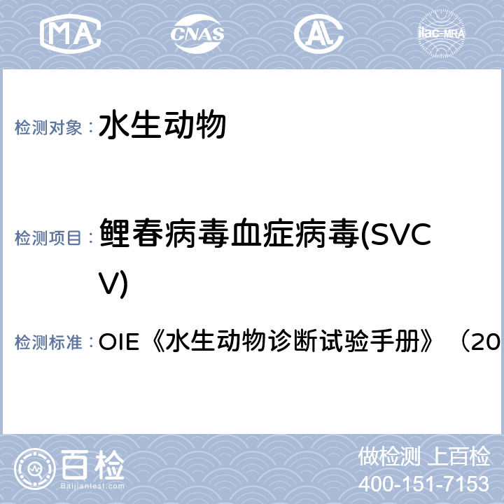 鲤春病毒血症病毒(SVCV) 水生动物诊断试验手册 鲤春病毒血症 OIE《》（2019） 2.3.9