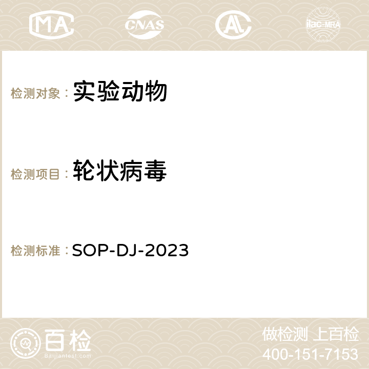 轮状病毒 SOP-DJ-2023 兔检测方法 