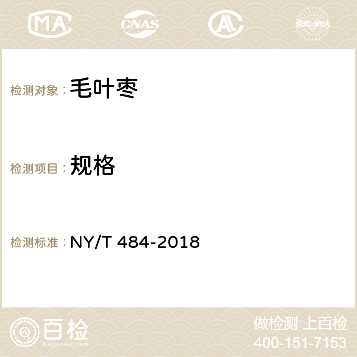 规格 毛叶枣 NY/T 484-2018 6.2