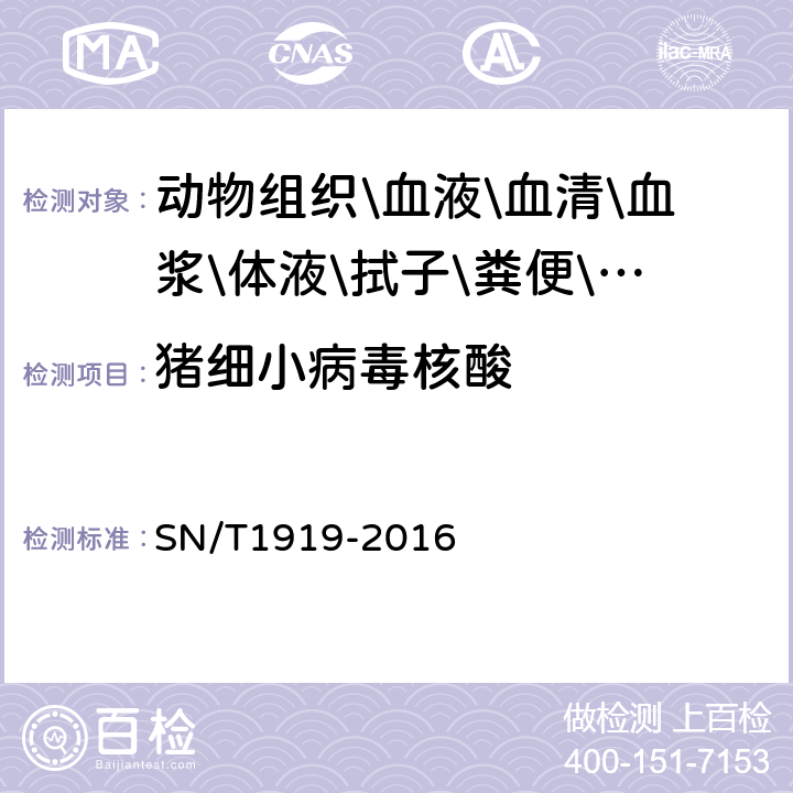 猪细小病毒核酸 猪细小病毒病检疫技术规范 SN/T1919-2016