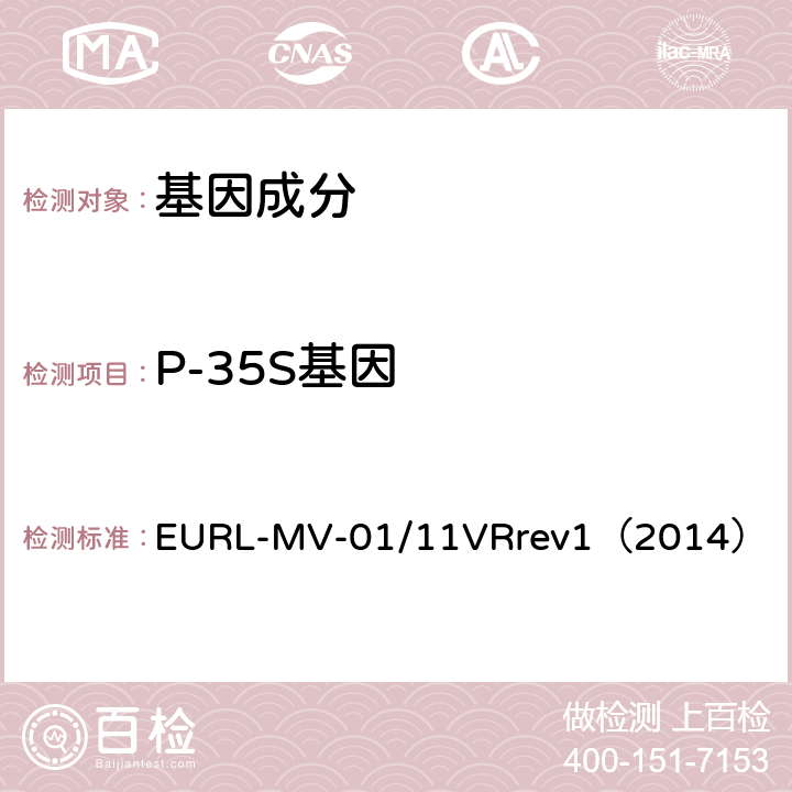 P-35S基因 应用P-35S,T-NOS和CryIAb/Ac的实时PCR方法检测中国转基因大米成分的修订指南 EURL-MV-01/11VRrev1（2014）