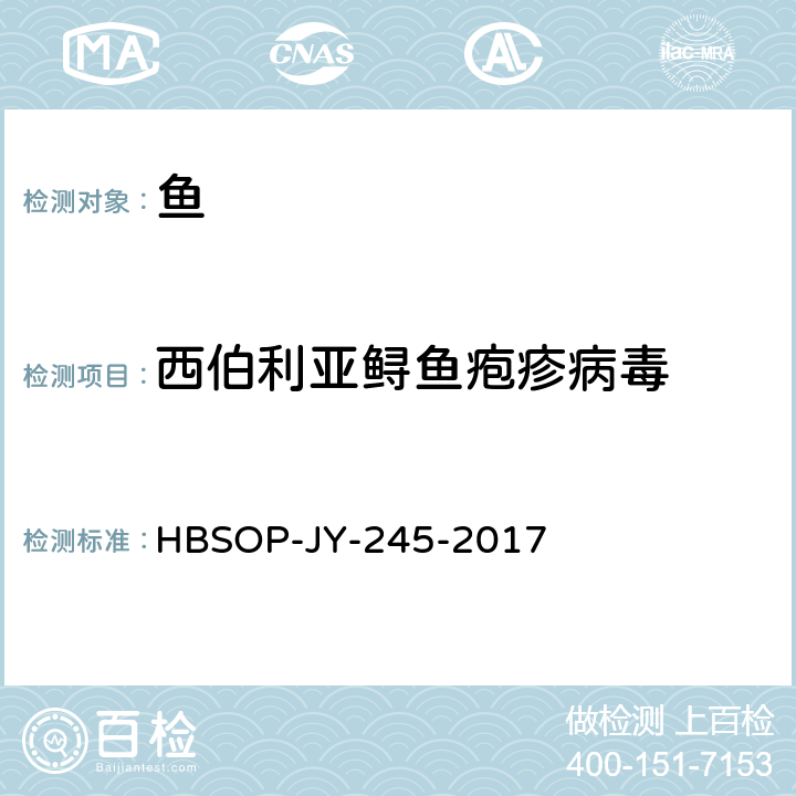 西伯利亚鲟鱼疱疹病毒 西伯利亚鲟鱼疱疹病毒检测方法 HBSOP-JY-245-2017