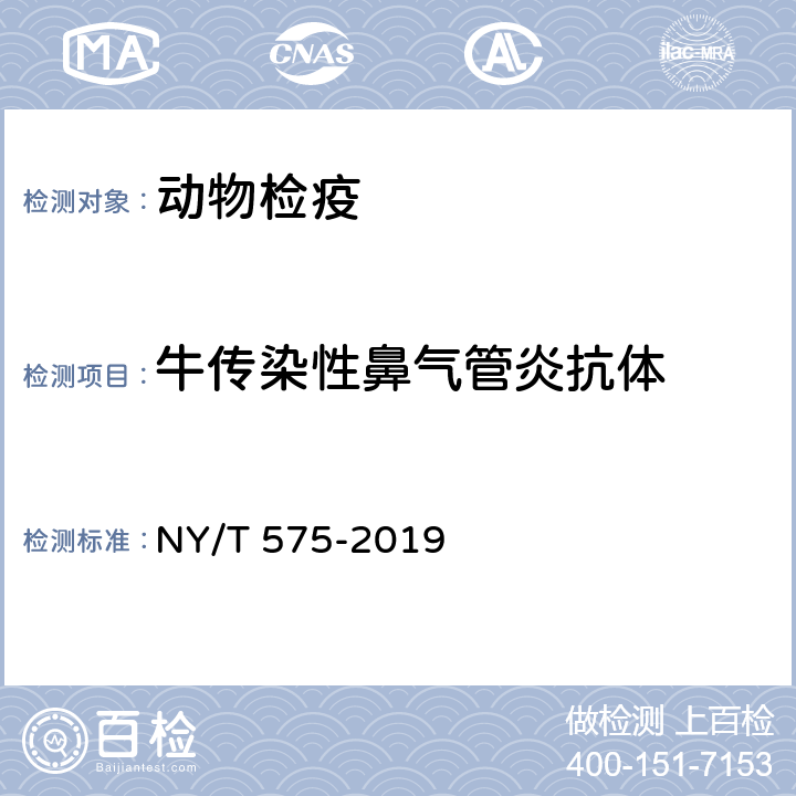 牛传染性鼻气管炎抗体 牛传染性鼻气管炎诊断技术 NY/T 575-2019