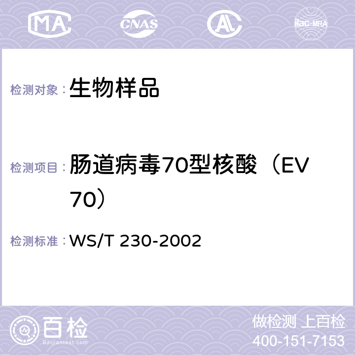 肠道病毒70型核酸（EV70） 临床诊断中聚合酶链反应(PCR)技术的应用 WS/T 230-2002