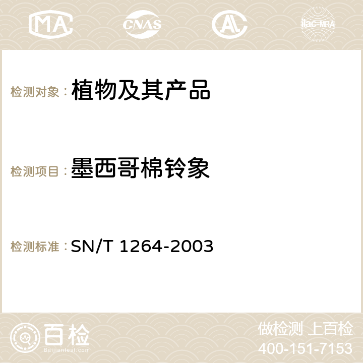 墨西哥棉铃象 墨西哥棉铃象的检疫鉴定方法 SN/T 1264-2003