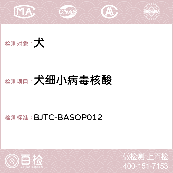 犬细小病毒核酸 BJTC-BASOP 012 犬细小病毒PCR检测方法 BJTC-BASOP012