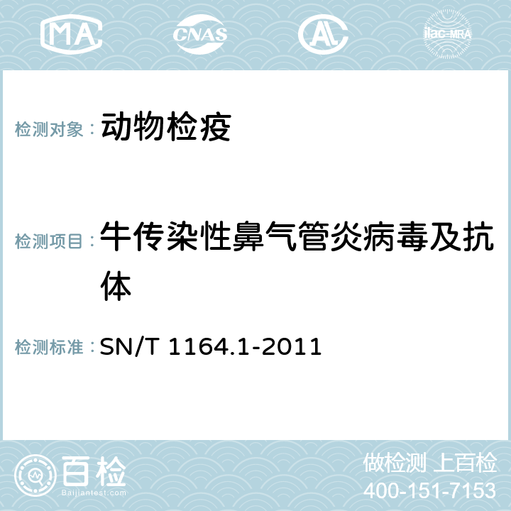 牛传染性鼻气管炎病毒及抗体 牛传染性鼻气管炎检疫技术规范 SN/T 1164.1-2011