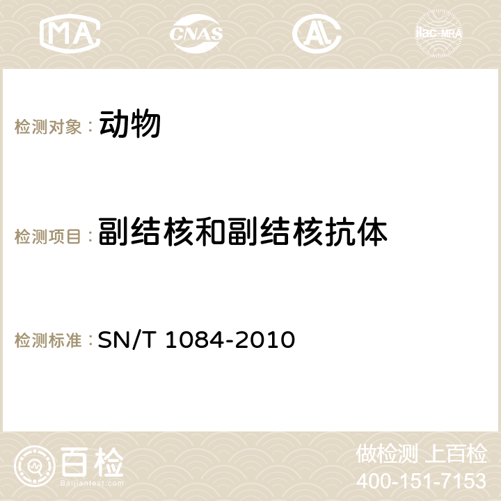 副结核和副结核抗体 牛副结核病检疫技术规范 SN/T 1084-2010
