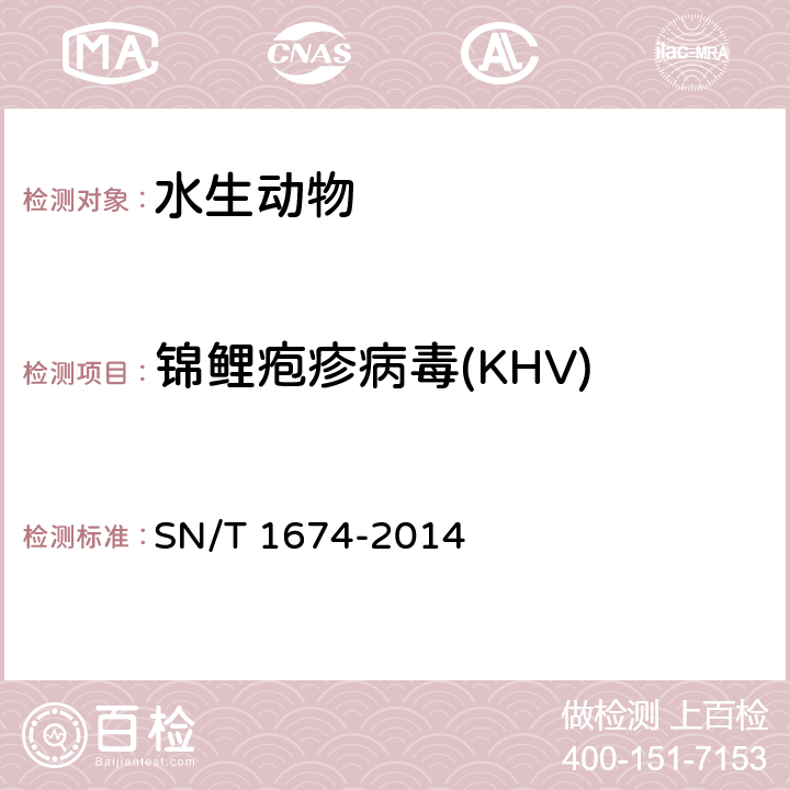 锦鲤疱疹病毒(KHV) 锦鲤疱疹病毒病检疫技术规范 SN/T 1674-2014
