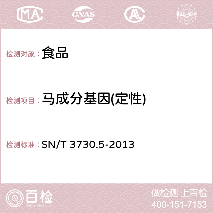 马成分基因(定性) 食品及饲料中常见畜类品种的鉴定方法 第5部分：马成分检测 实时荧光PCR法 SN/T 3730.5-2013