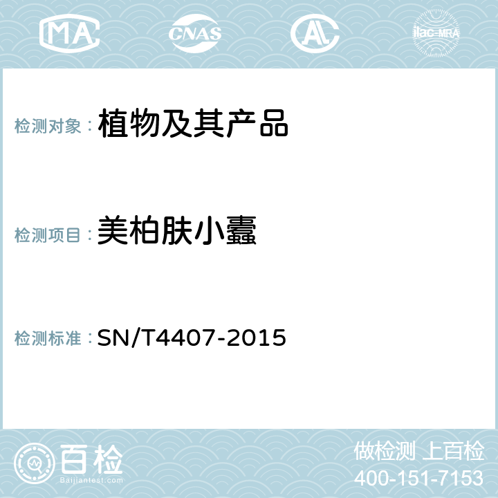 美柏肤小蠹 美柏肤小蠹检疫鉴定方法 SN/T4407-2015