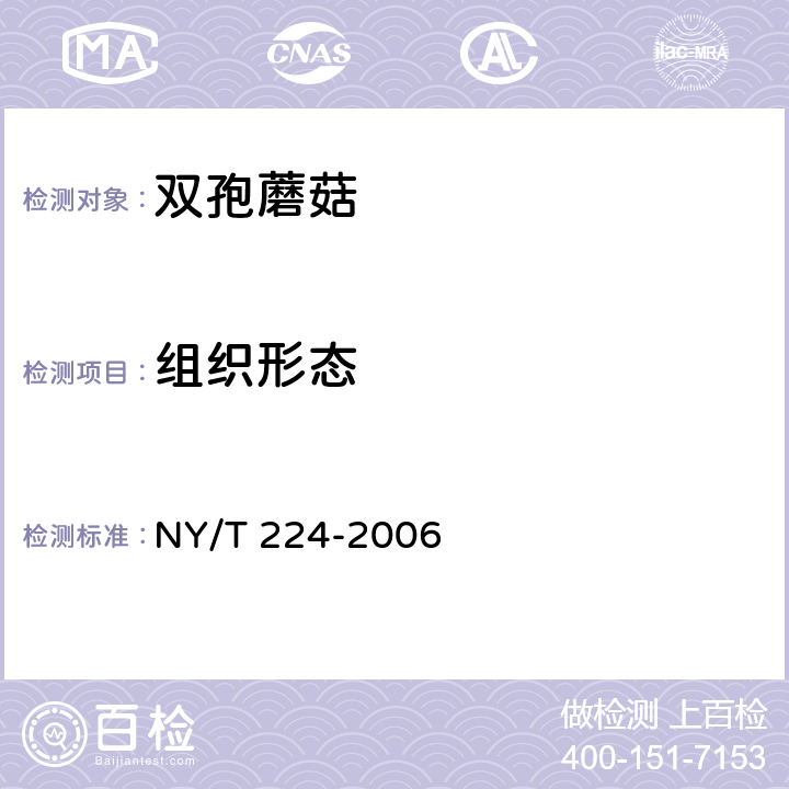 组织形态 双孢蘑菇 NY/T 224-2006 5.1.1