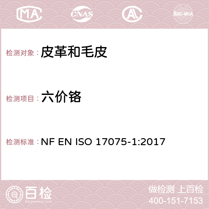 六价铬 皮革 化学试验 六价铬含量的测定 NF EN ISO 17075-1:2017