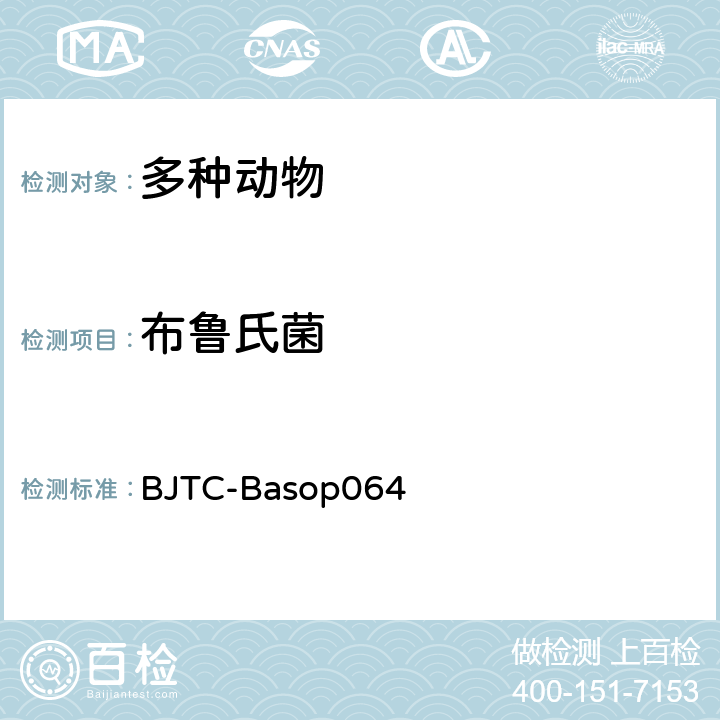 布鲁氏菌 BJTC-BASOP 064 荧光PCR检测方法 BJTC-Basop064