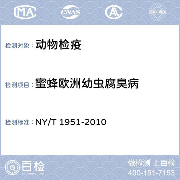 蜜蜂欧洲幼虫腐臭病 NY/T 1951-2010 蜜蜂幼虫腐臭病诊断技术规范