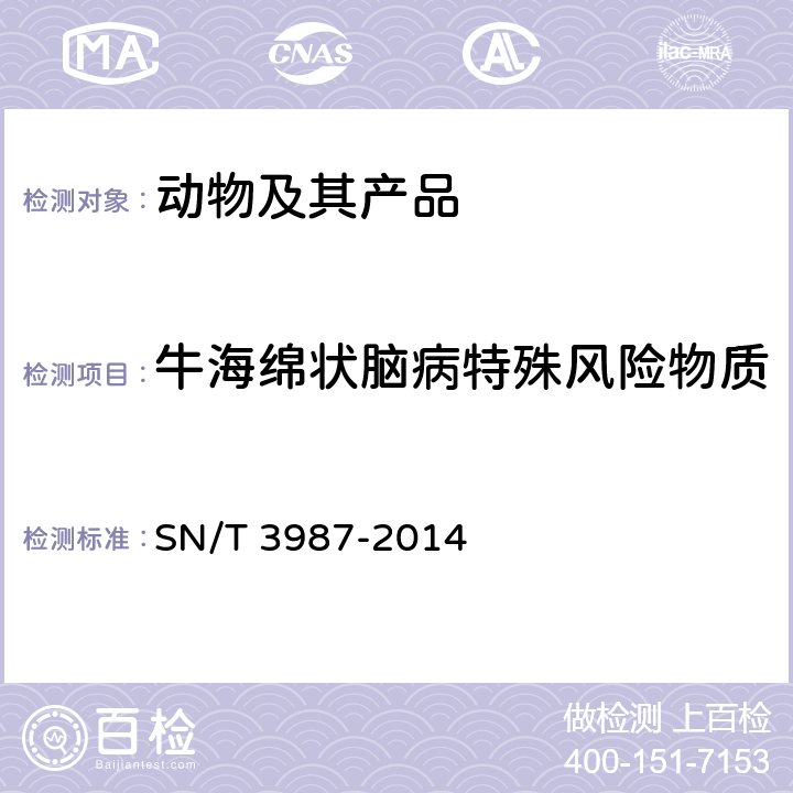 牛海绵状脑病特殊风险物质 牛海绵状脑病特殊风险物质实时荧光RT-PCR检测方法 SN/T 3987-2014