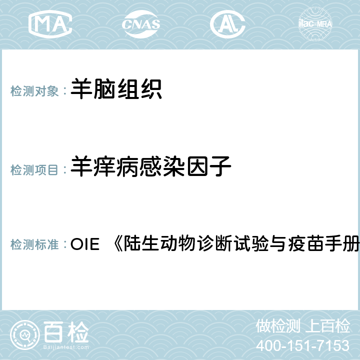 羊痒病感染因子 免疫组织化学法 OIE 《陆生动物诊断试验与疫苗手册》（2018版） 3.7.11章