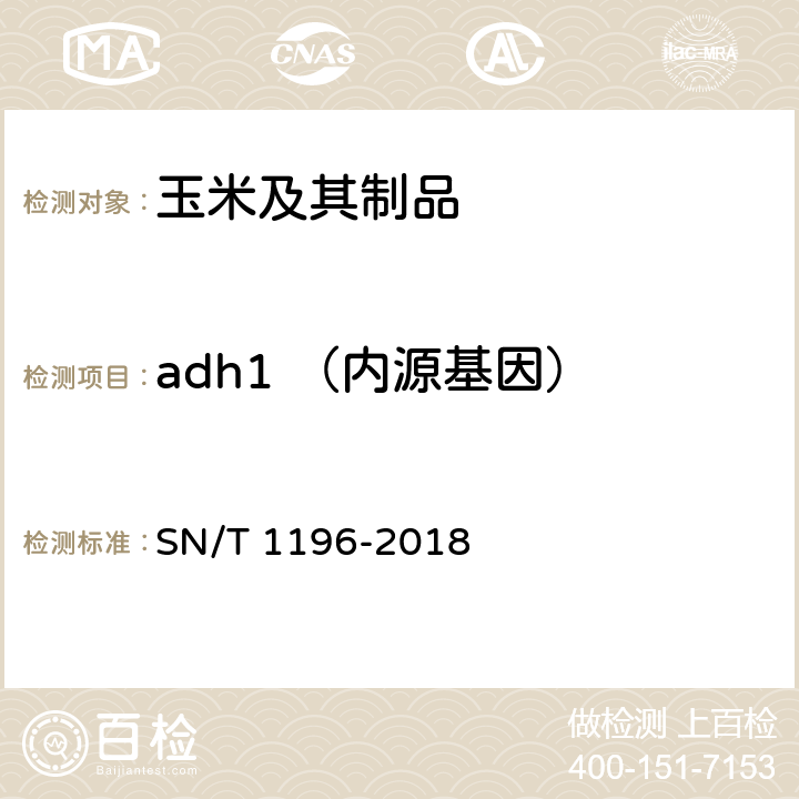 adh1 （内源基因） SN/T 1196-2018 转基因成分检测 玉米检测方法