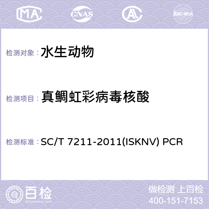 真鲷虹彩病毒核酸 传染性脾肾坏死病毒检测方法 SC/T 7211-2011(ISKNV) PCR