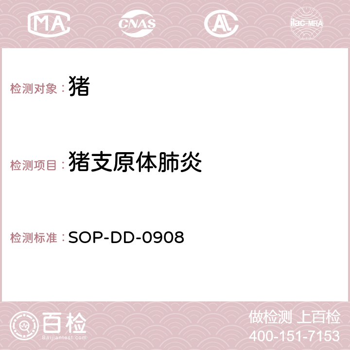 猪支原体肺炎 猪支原体肺炎PCR检测方法 SOP-DD-0908