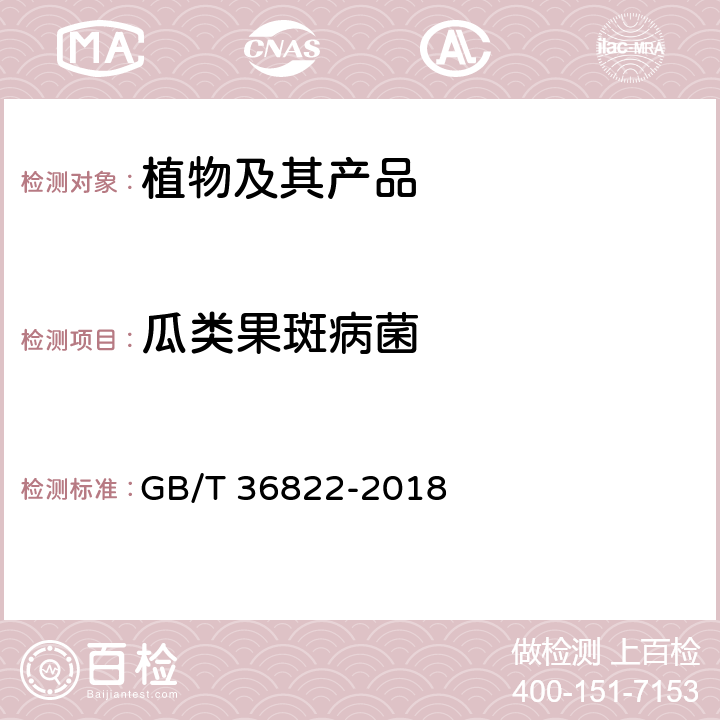 瓜类果斑病菌 瓜类果斑病菌检疫鉴定 GB/T 36822-2018