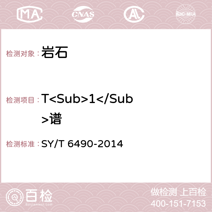 T<Sub>1</Sub>谱 SY/T 6490-2014 岩样核磁共振参数实验室测量规范
