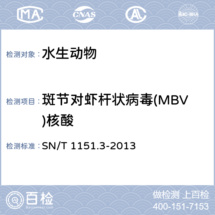 斑节对虾杆状病毒(MBV)核酸 斑节对虾杆状病毒(MBV)检疫技术规范 SN/T 1151.3-2013