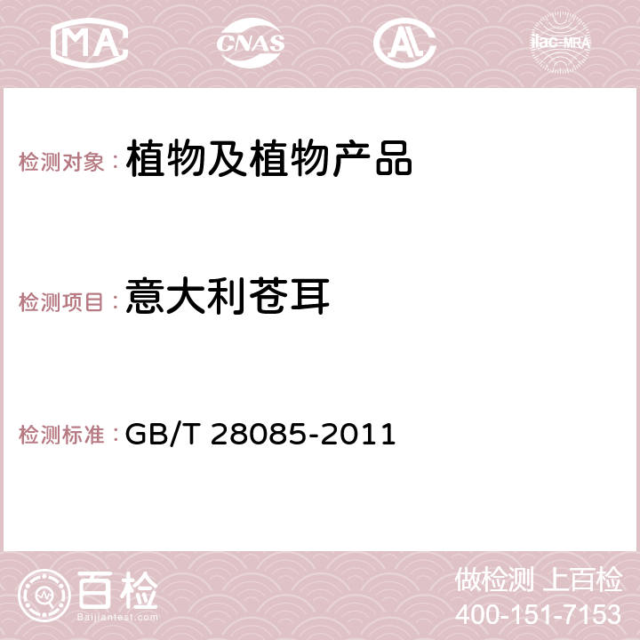 意大利苍耳 苍耳(属)(非中国种)检疫鉴定方法 GB/T 28085-2011