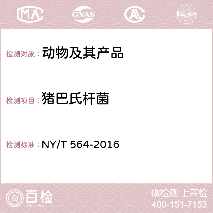 猪巴氏杆菌 猪巴氏杆菌病诊断技术 NY/T 564-2016