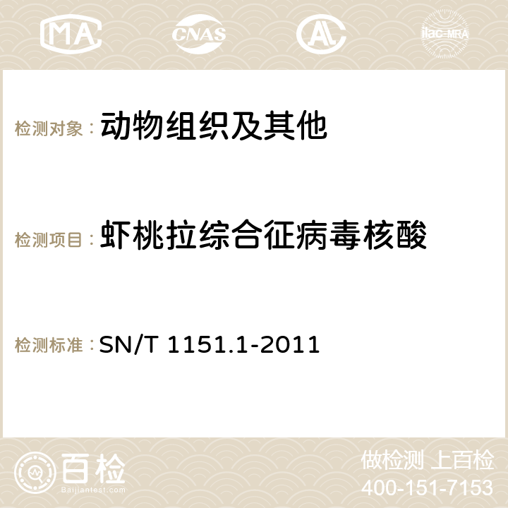 虾桃拉综合征病毒核酸 虾桃拉综合征检疫技术规范 SN/T 1151.1-2011