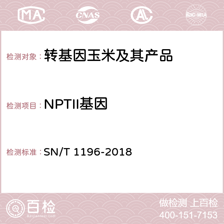 NPTII基因 SN/T 1196-2018 转基因成分检测 玉米检测方法