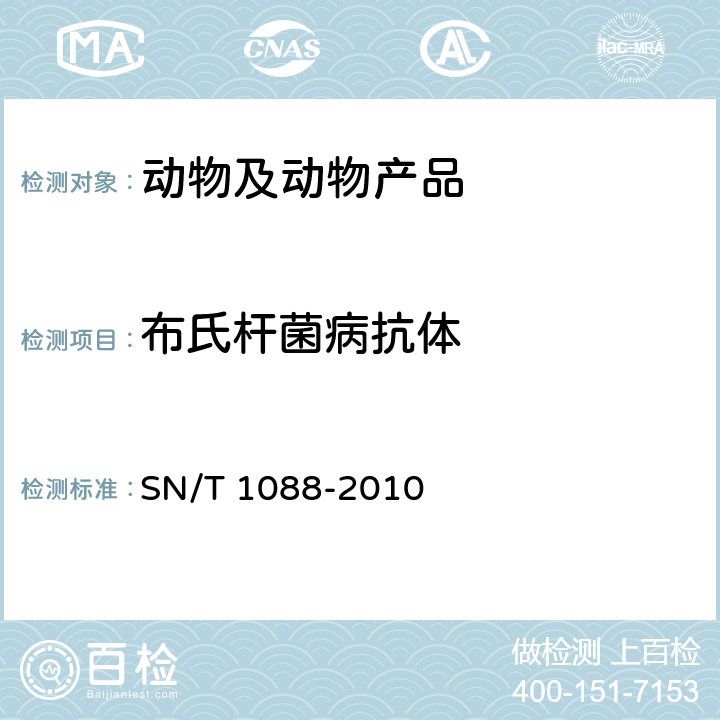 布氏杆菌病抗体 布氏杆菌检疫技术规范 SN/T 1088-2010