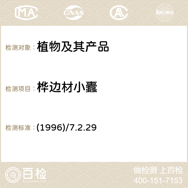 桦边材小蠹 《中国进出境植物检疫手册》 (1996)/7.2.29