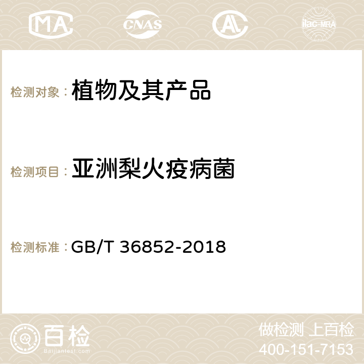 亚洲梨火疫病菌 亚洲梨火疫病菌检疫鉴定   GB/T 36852-2018