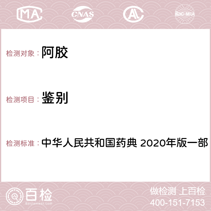 鉴别 阿胶 中华人民共和国药典 2020年版一部