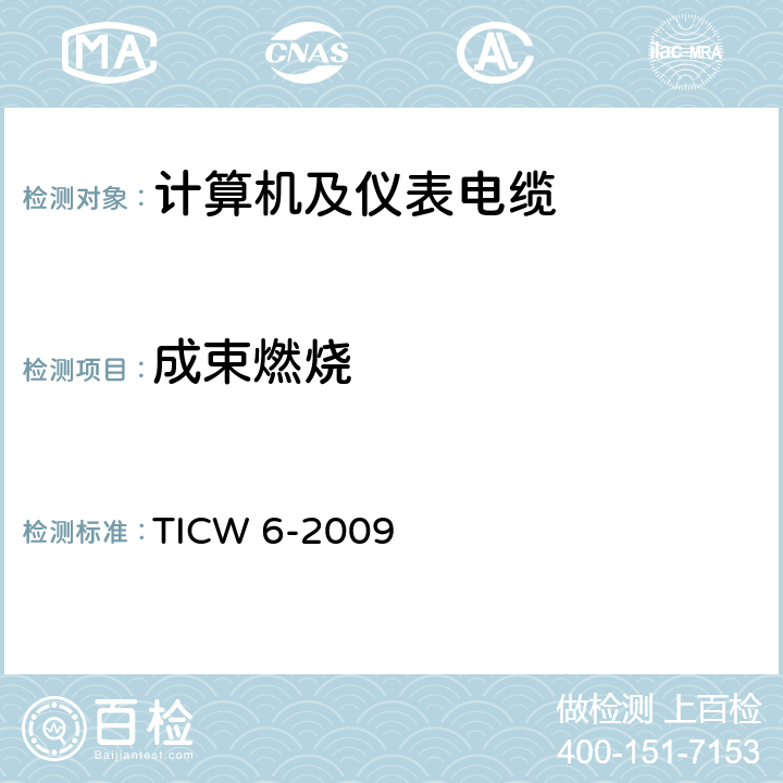 成束燃烧 计算机及仪表电缆 TICW 6-2009 6.9