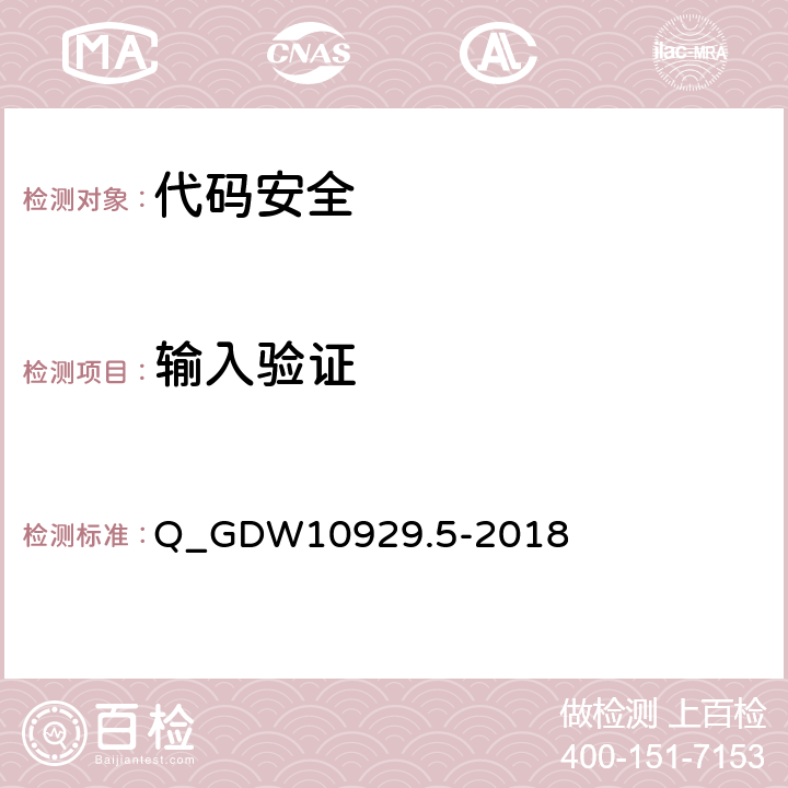 输入验证 信息系统应用安全第5部分：代码安全检测 Q_GDW10929.5-2018 5.2