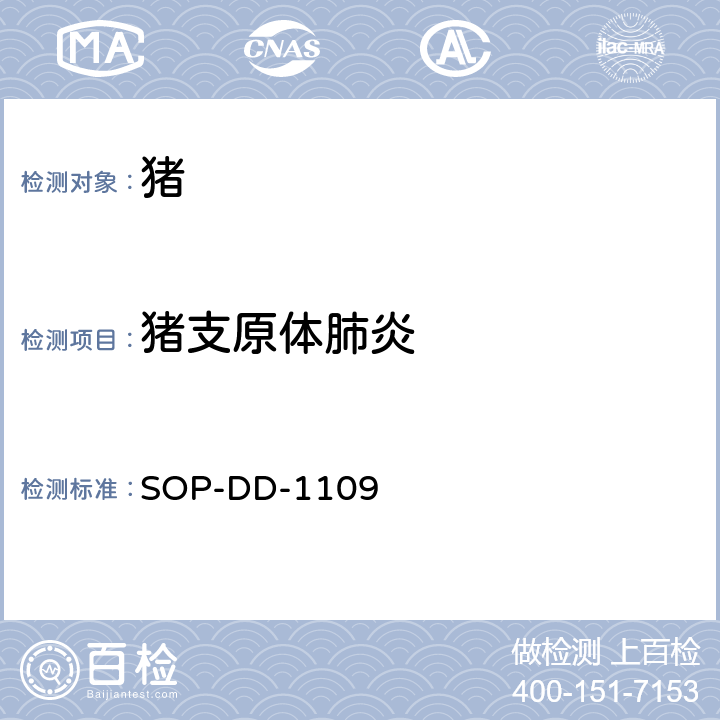 猪支原体肺炎 猪支原体肺炎ELISA检测方法 SOP-DD-1109