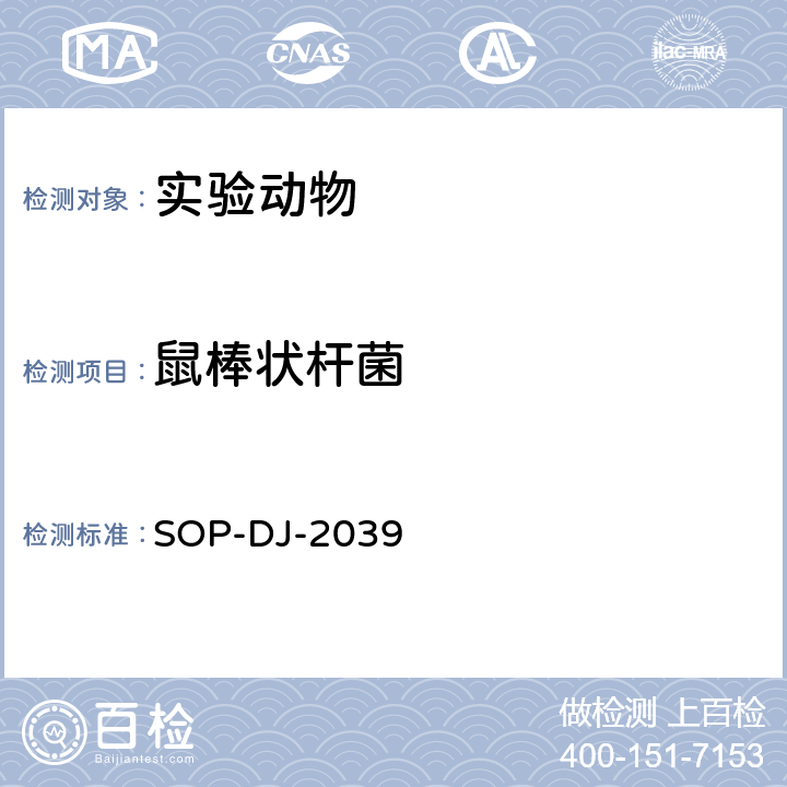 鼠棒状杆菌 SOP-DJ-2039 检测方法 