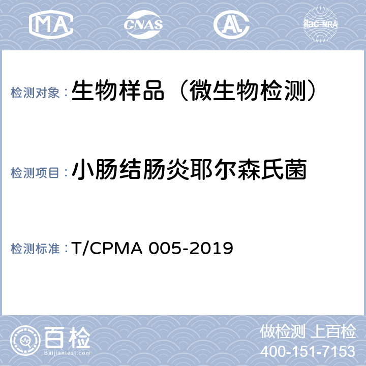 小肠结肠炎耶尔森氏菌 MA 005-2019 耶尔森菌病诊断 T/CP
