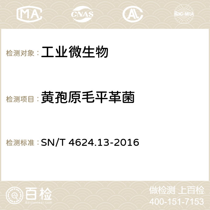 黄孢原毛平革菌 SN/T 4624.13-2016 入境环保用微生物菌剂检测方法 第13部分：黄孢原毛平革菌