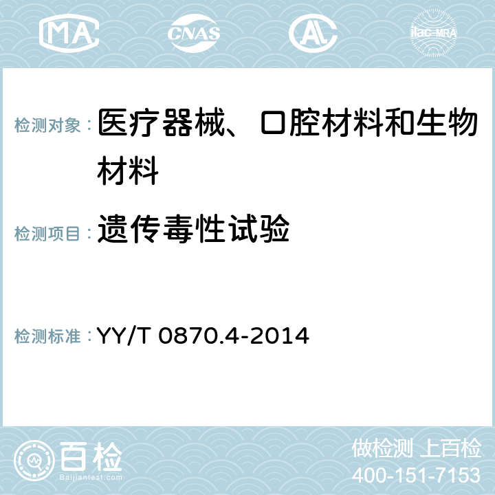 遗传毒性试验 医疗器械遗传毒性试验 第4部分：哺乳动物骨髓红细胞微核试验 YY/T 0870.4-2014