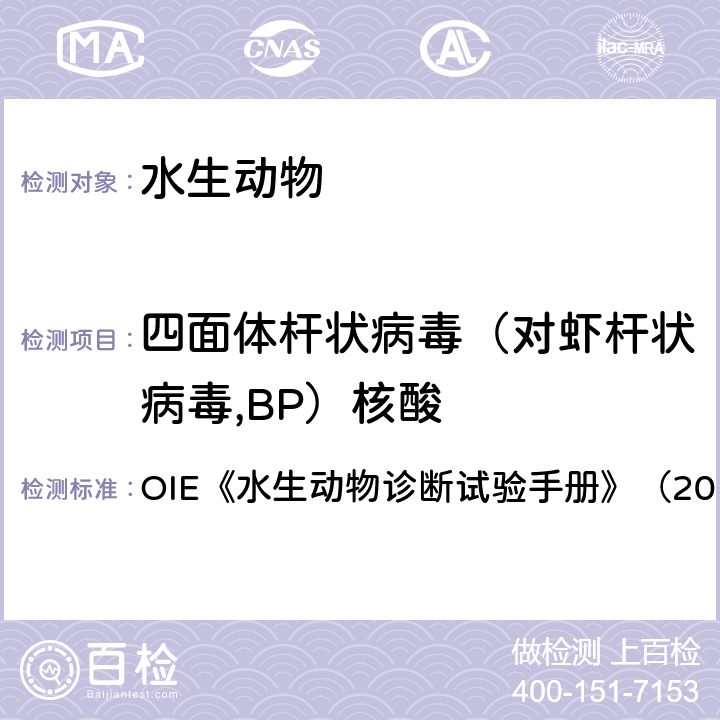 四面体杆状病毒（对虾杆状病毒,BP）核酸 水生动物诊断试验手册 四面体杆状病毒病（对虾杆状病毒） OIE《》（2019） 2.2.11