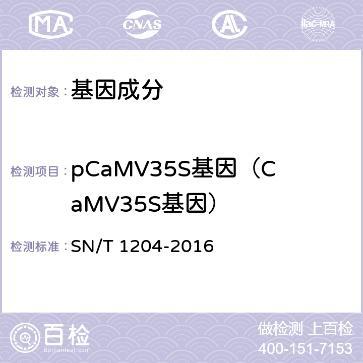 pCaMV35S基因（CaMV35S基因） 植物及其加工产品中转基因成分实时荧光PCR定性检验方法 SN/T 1204-2016