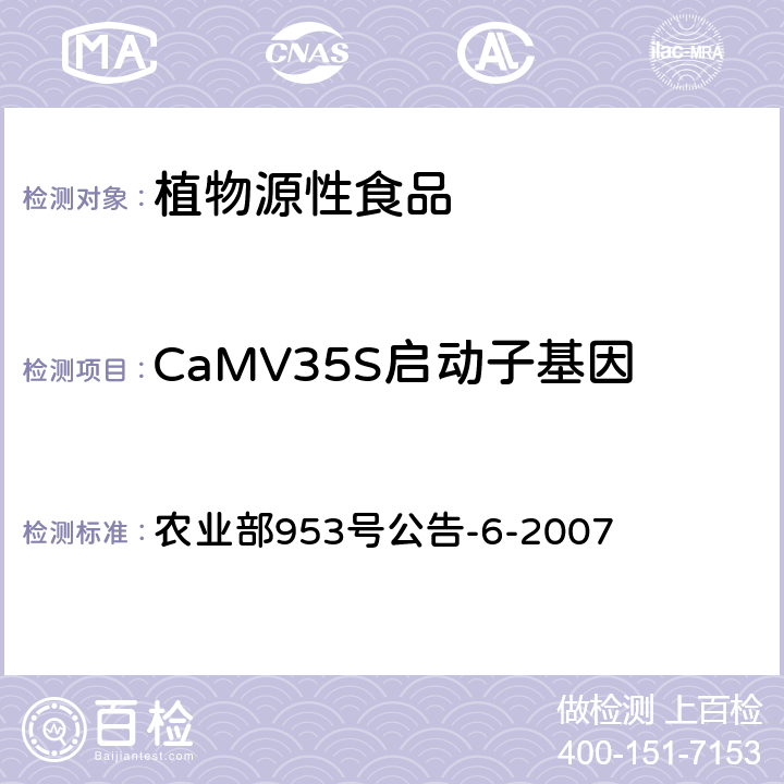 CaMV35S启动子基因 农业部953号公告-6-2007 转基因植物及其产品成分检测 抗虫转Bt基因水稻定性PCR方法 