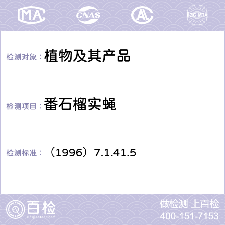 番石榴实蝇 中国进出境植物检疫手册 （1996）7.1.41.5