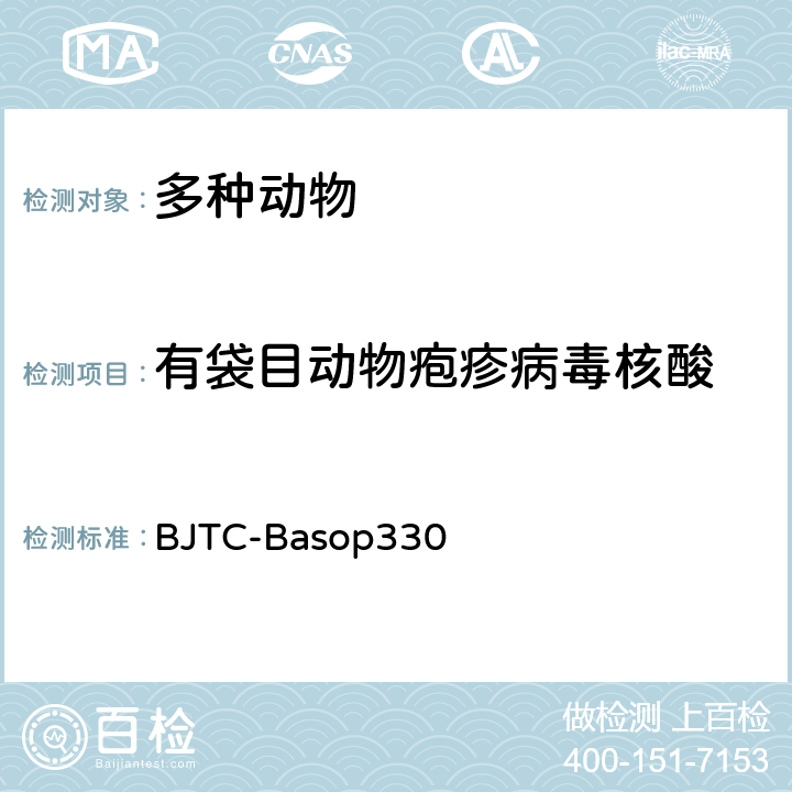 有袋目动物疱疹病毒核酸 BJTC-BASOP 330 有袋目动物疱疹病毒PCR检测方法 BJTC-Basop330