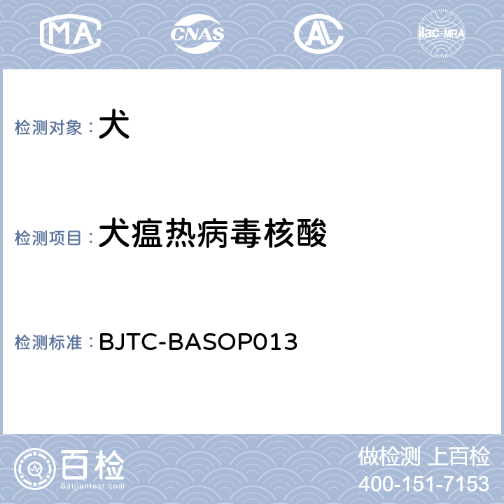 犬瘟热病毒核酸 犬瘟热病毒RT-PCR检测方法 BJTC-BASOP013
